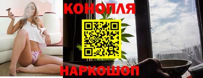 сатива Новоалтайск