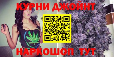 сатива Новоалтайск