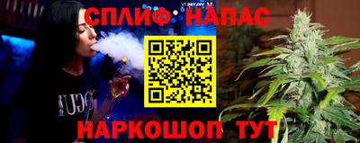 стаф Новоалександровск