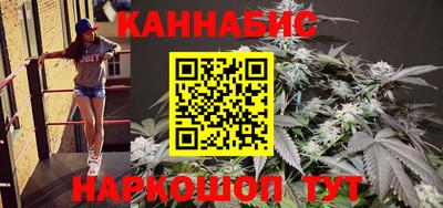 стаф Новоалександровск