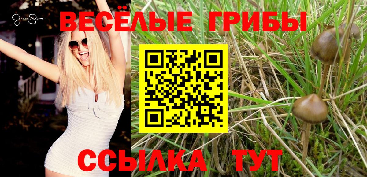 Ачинск  Псилоцибиновые грибы Psilocybine cubensis  Вход с VPN  Галлюциногенные грибы MAGIC MUSHROOMS 